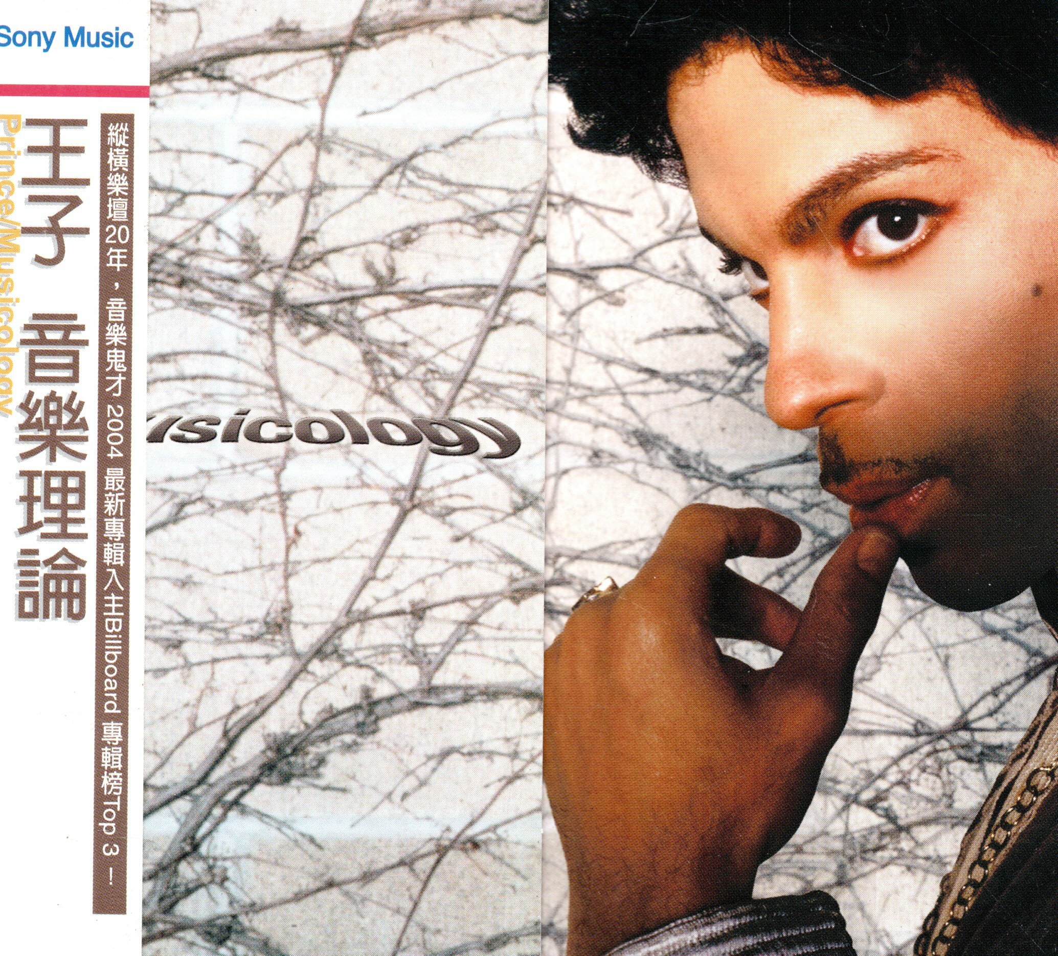 Prince 王子 音樂理論 紙殼版 附側標 581100001101 再生工場02