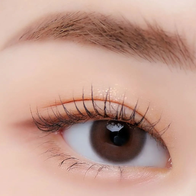 Lensme Original 1 Day Series Freeny Choco 每日拋棄彩妝隱形眼鏡｜每盒10片