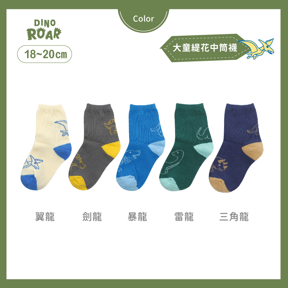 【肌柔】台灣製「卡通造型」恐龍系列 童趣緹花中筒棉襪(兒童款)丨P1255-P1259