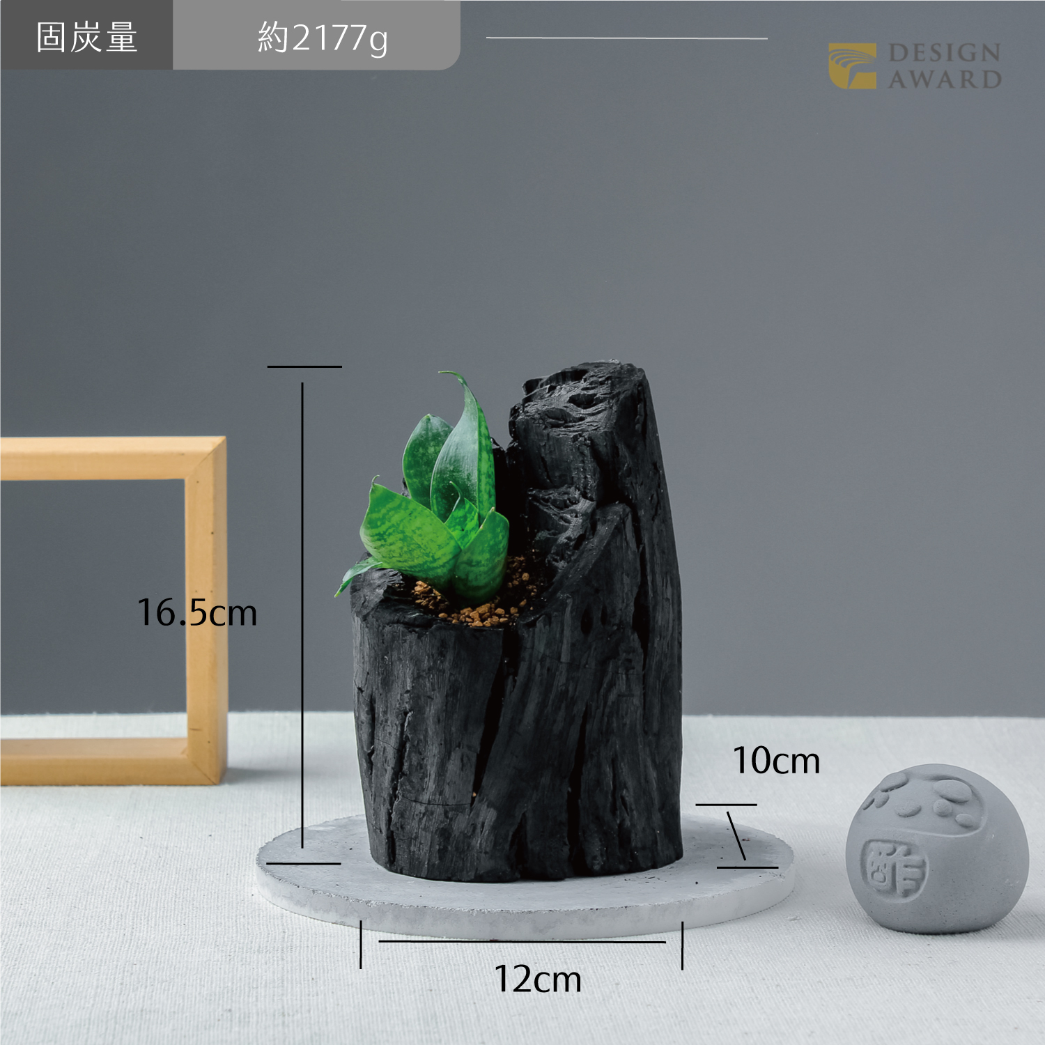 藝術炭盆栽－虎尾蘭［393］/調濕/消臭/美化/家飾/淨化空氣(含運)