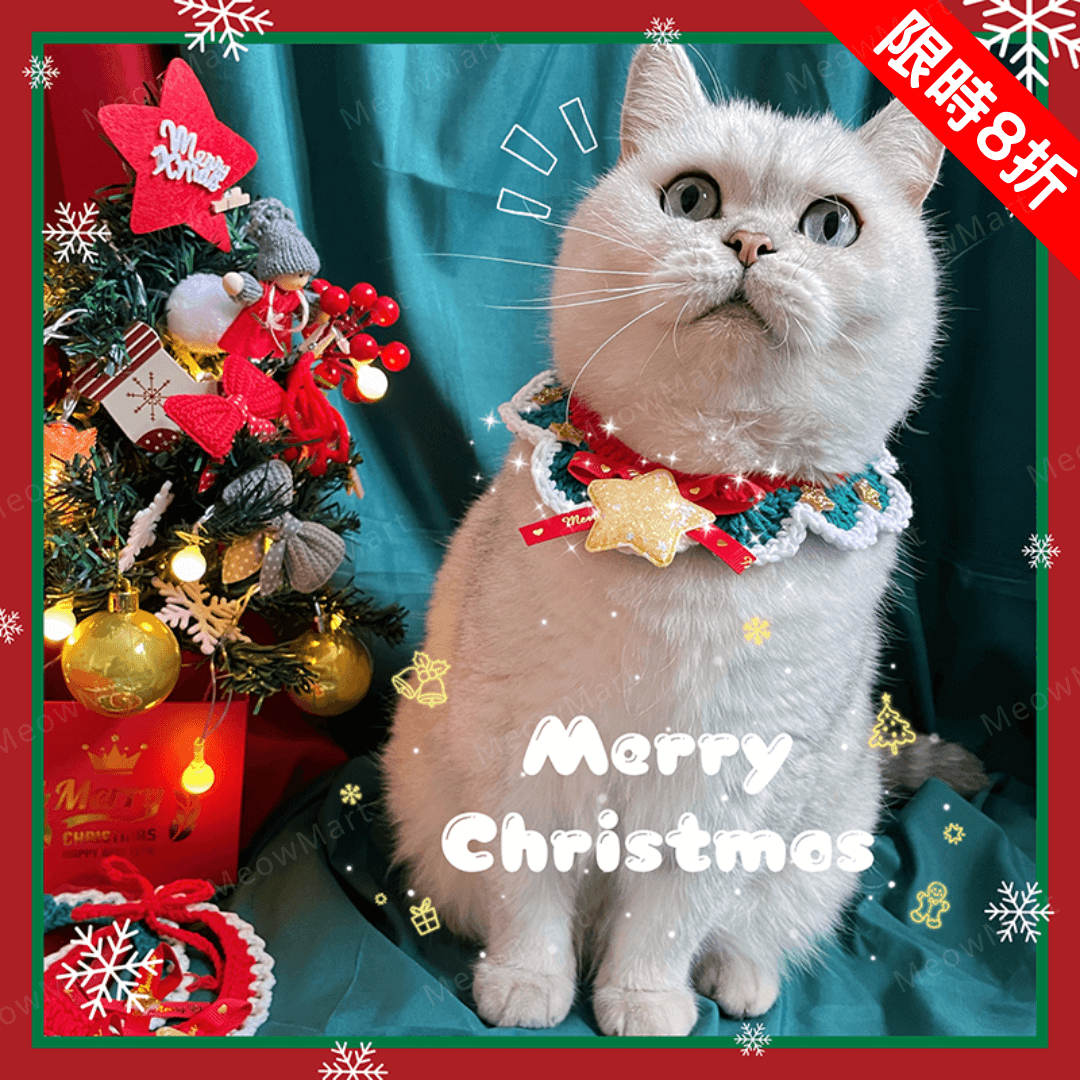 【現貨8折】閃亮星星聖誕頸圈 (貓狗適用)