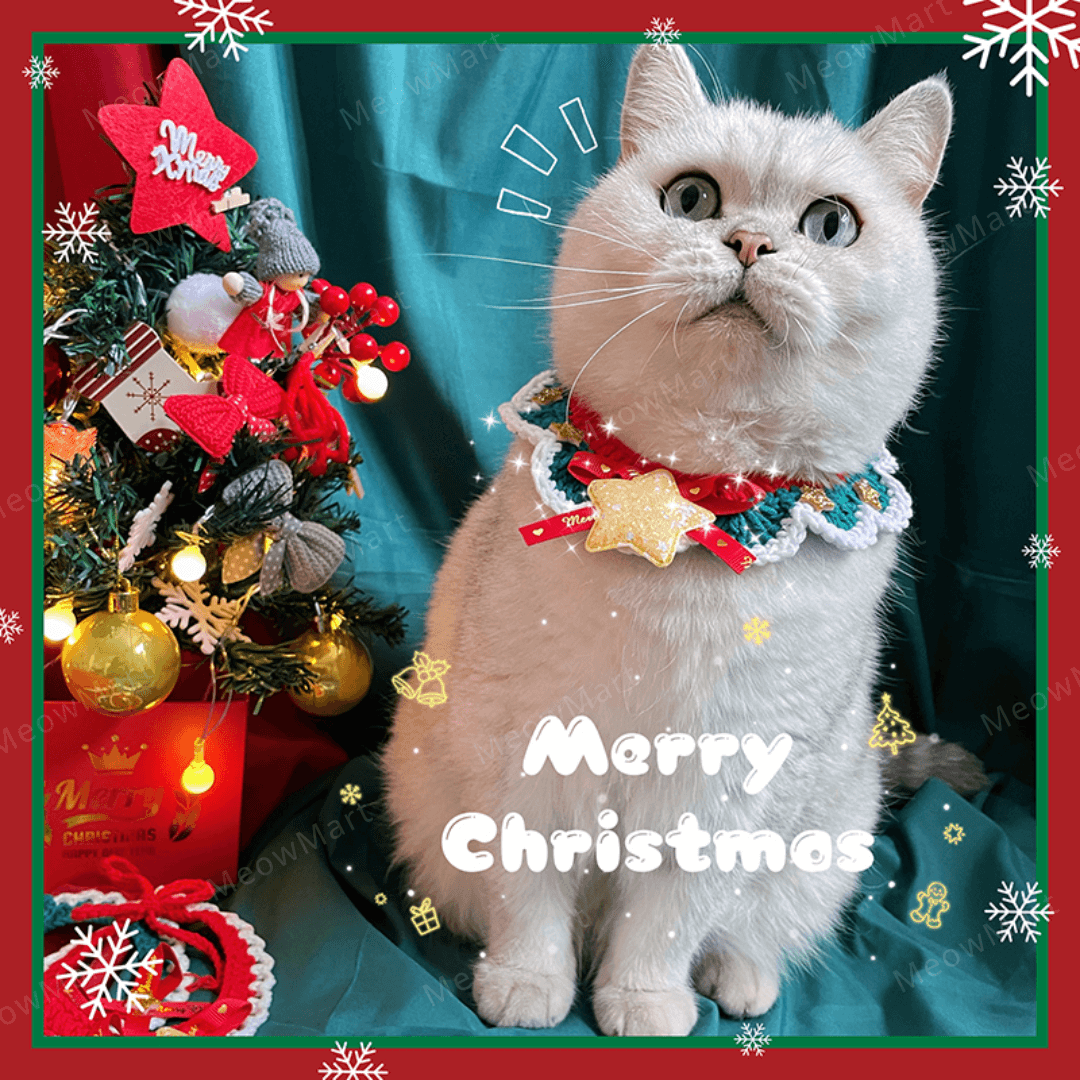 閃亮星星聖誕頸圈