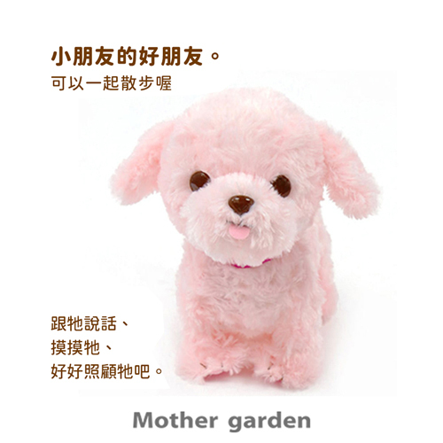 Usamomo萌兔桃桃- 家家酒 一起去散步 西施犬