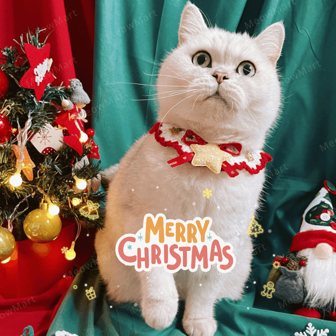 閃亮星星聖誕頸圈