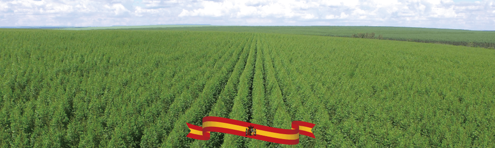 美國寢之堡防水防蟎透氣Tencel Lyocell天絲床枕組保潔墊純淨環保又高雅