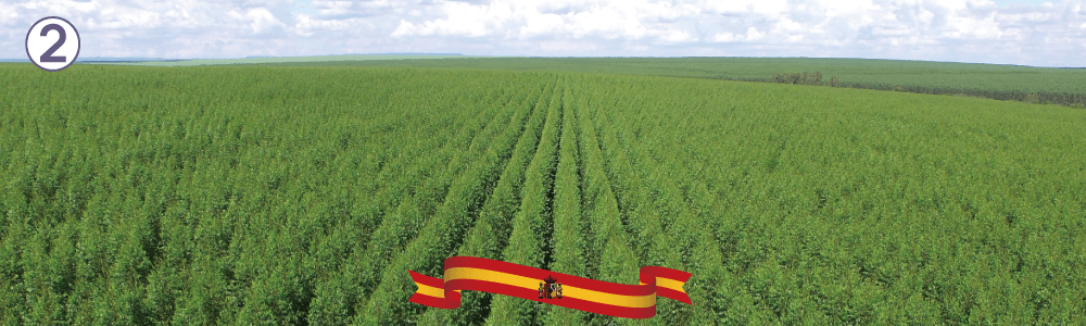 寢之堡客製化防水透氣床包式保潔墊使用西班牙天絲冬暖夏涼