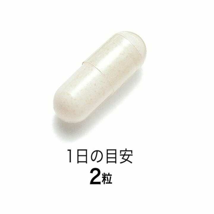 FANCL 淨腸活性益生菌膠囊 60粒 (30日)