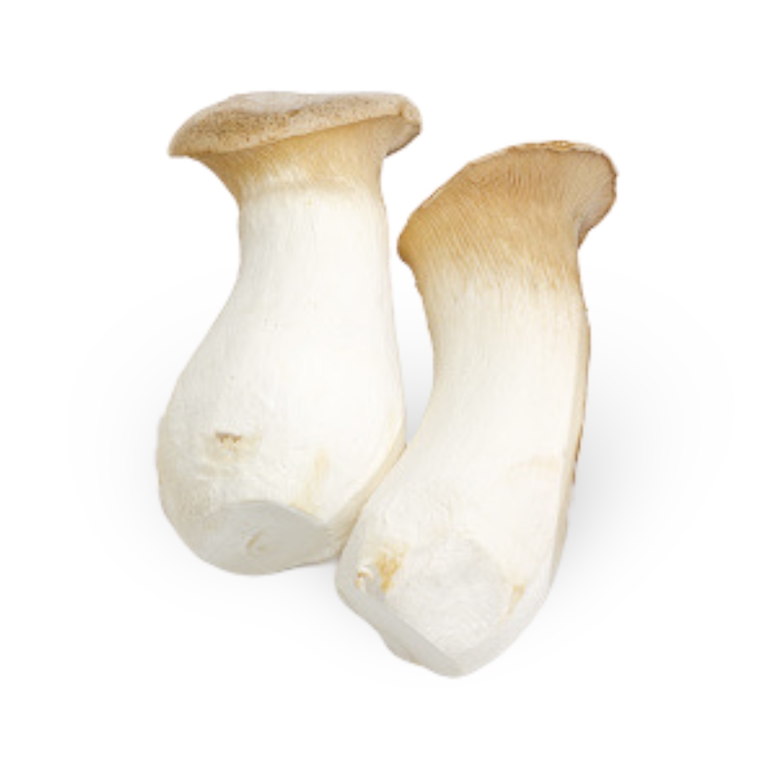 King Oyster Mushroom (Chinese)
