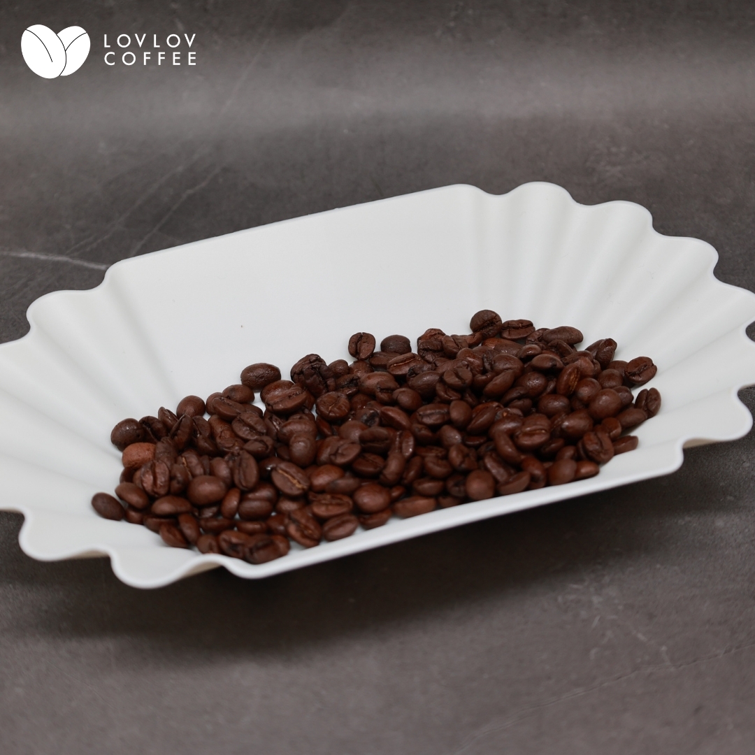 咖啡豆展示盤