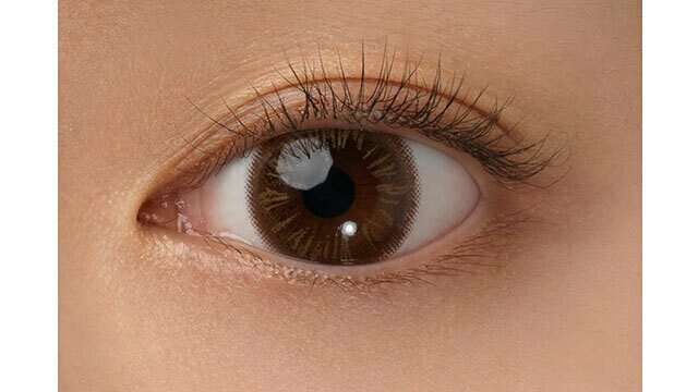 [預訂] [新版] FAIRY 1 Day Neutral Series Shiny  Brown 每日拋棄型有色彩妝隱形眼鏡｜每盒10片