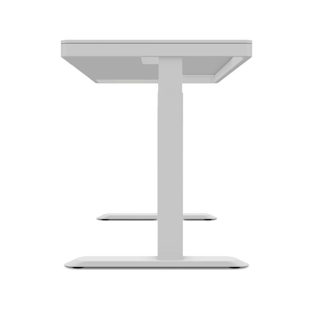 Lifetime RISE Electrical Adjustable Desk