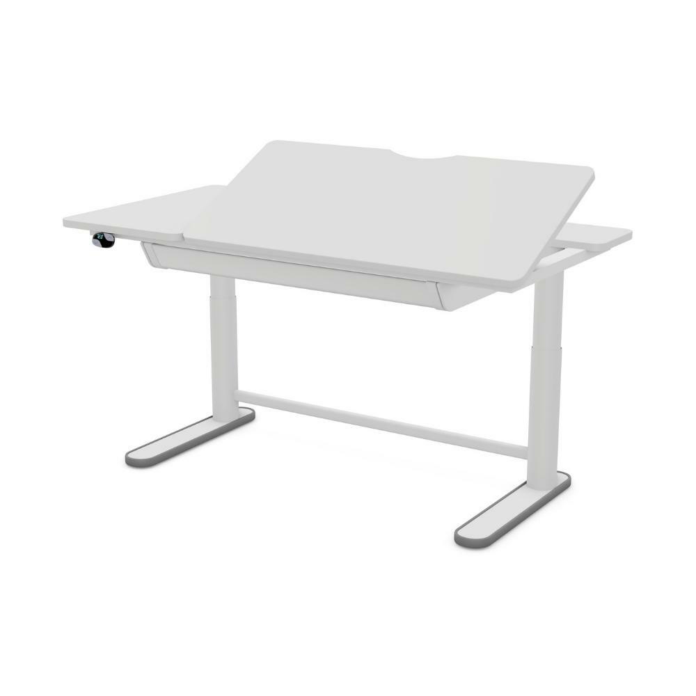 ERGO Electric Adjustable Desk