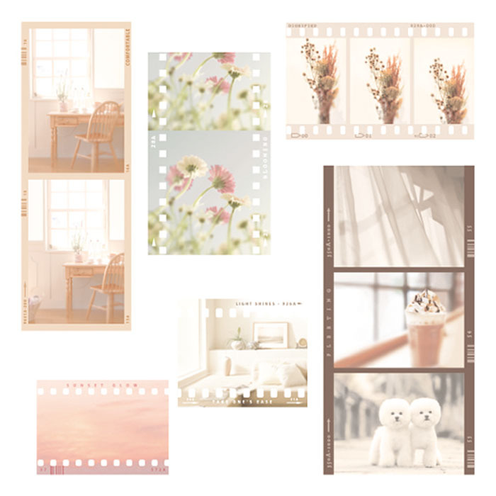 米色色調 MONMENTS系列 30枚PET貼紙包｜日本Mind Wave