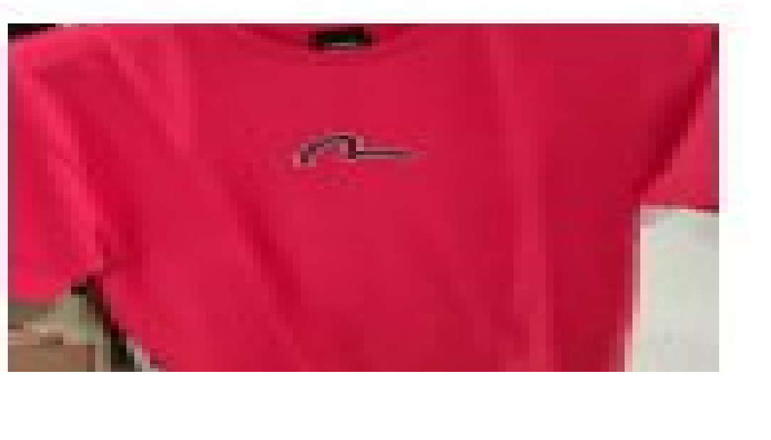 [S] EVISU HILLS METAL LOOSE FIT SHORT SLEEVE TEE,RED, EU5UTS907-RED (SEV131)