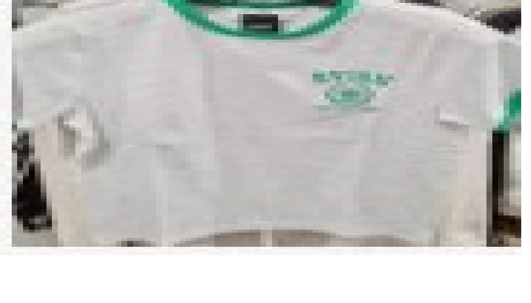 [S] EVISU CIRCULAR LOGO PRINT CROPPED RINGER TEE,MELANGE GREY, EU2FTS955-MELANGE GREY (SEV134)