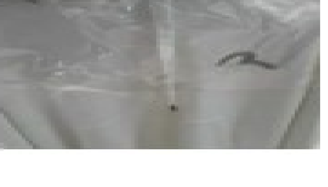 [S] EVISU PLANNING LOOSE FIT HILLS LOGO HOODED, OFF WHITE, EU5UTS911-OFF WHITE (SEV144)