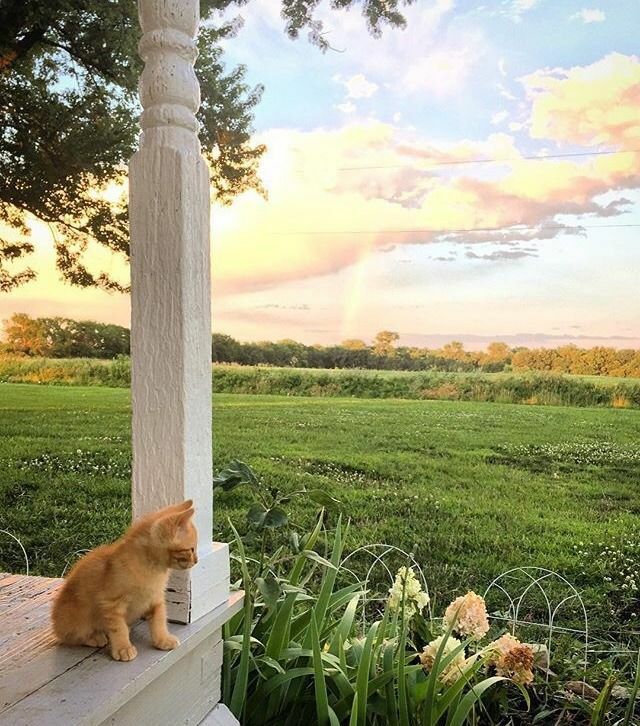 網店下架商品組成的