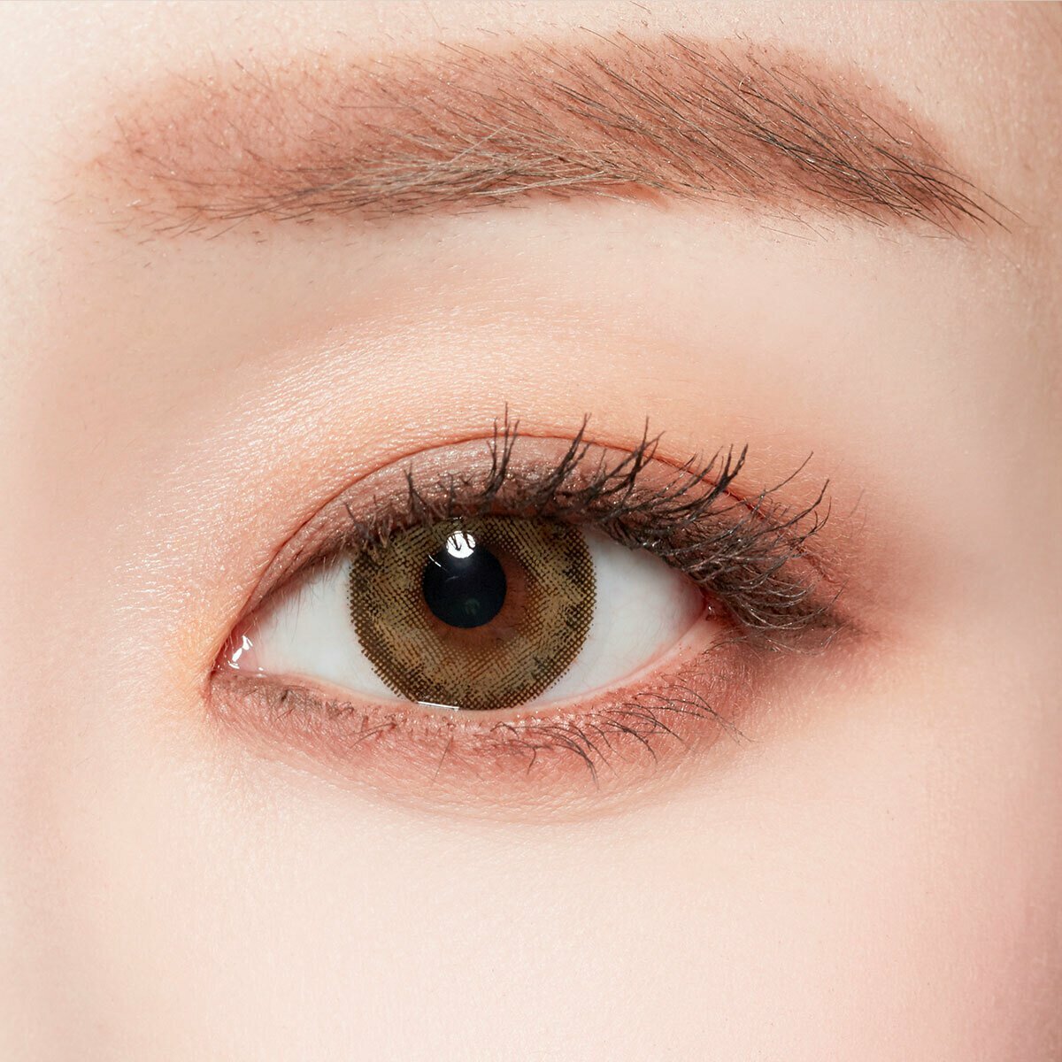 lenstown梨芝瞳彩色日拋浪漫東京榛果 (10片）