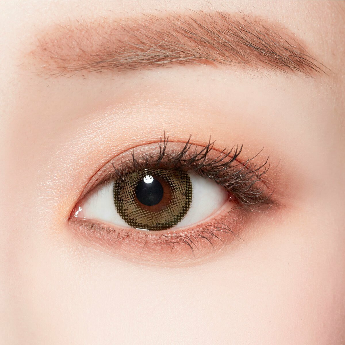 lenstown梨芝瞳彩色日拋浪漫東京卡其 (10片）