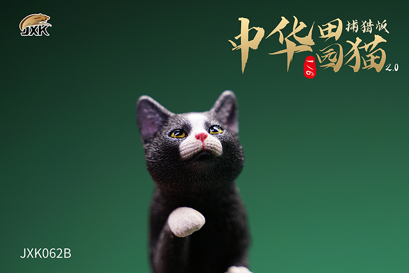 JxK Studio : 1/6 Felis catus 2.0
