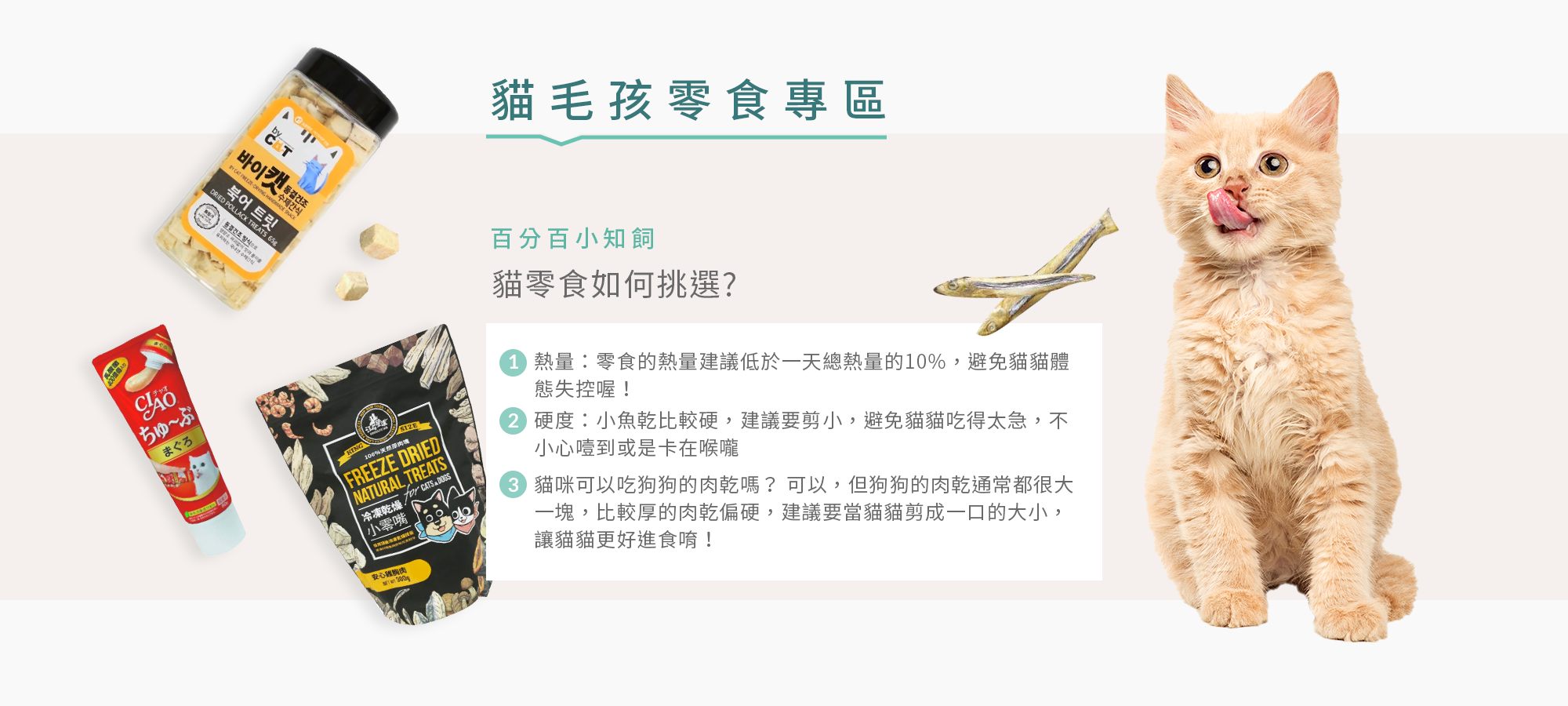 貓毛孩零食專區