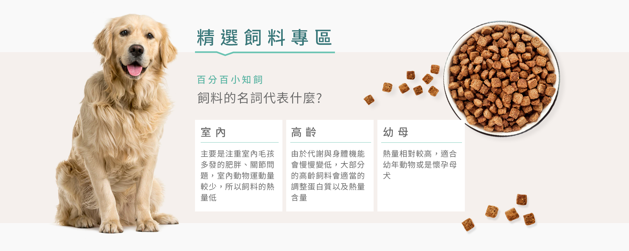 精選狗飼料專區