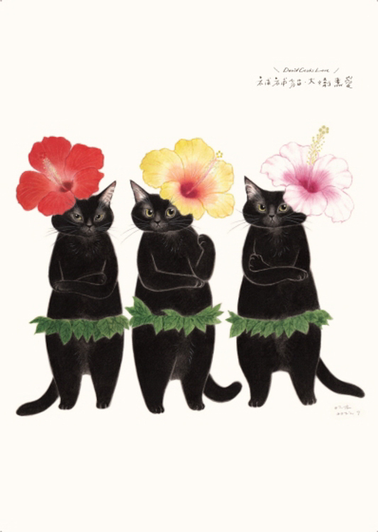 補補貓‧大衛煮愛｜明信片｜扶桑花黑貓
