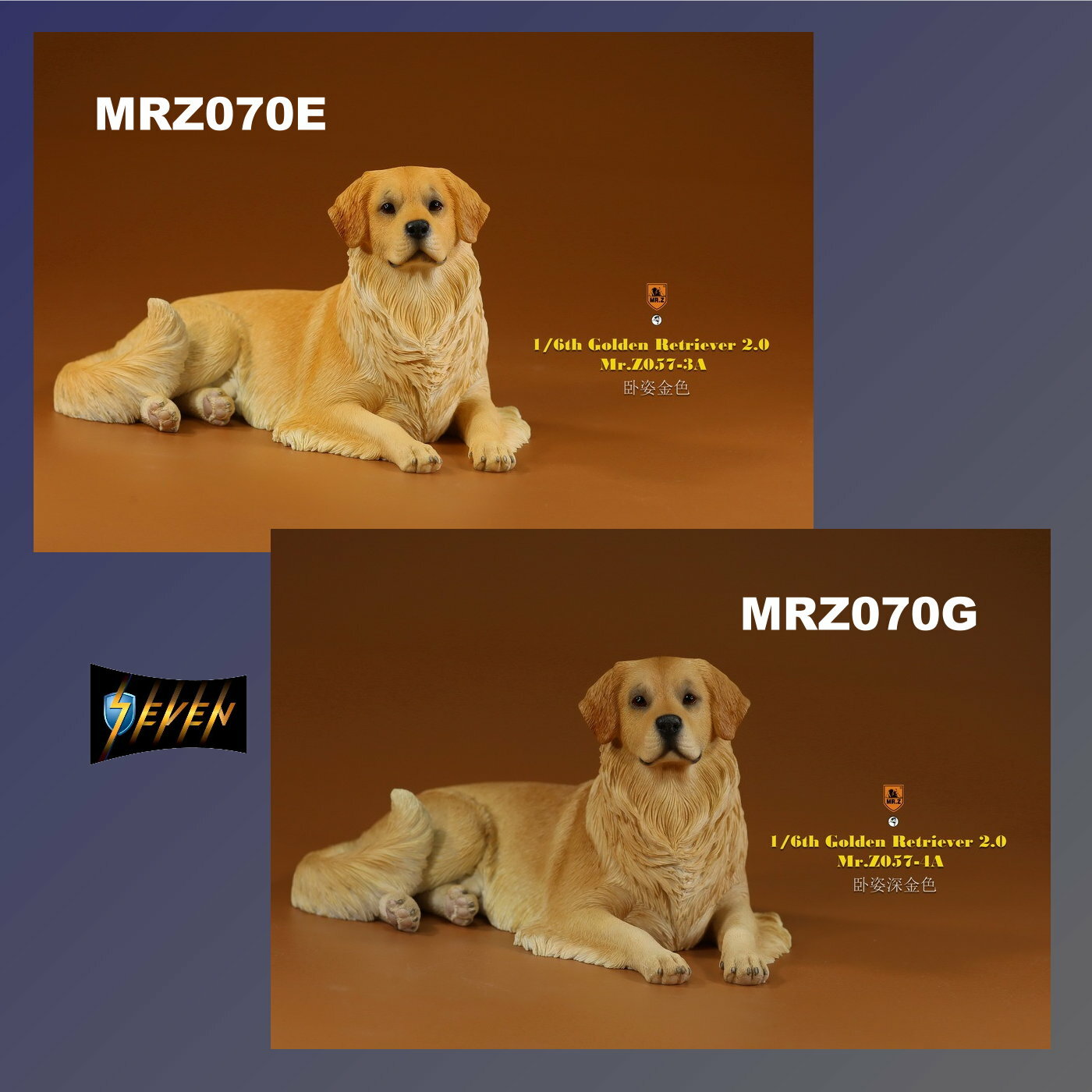 Mr.Z : 1/6 金毛尋回犬 2.0