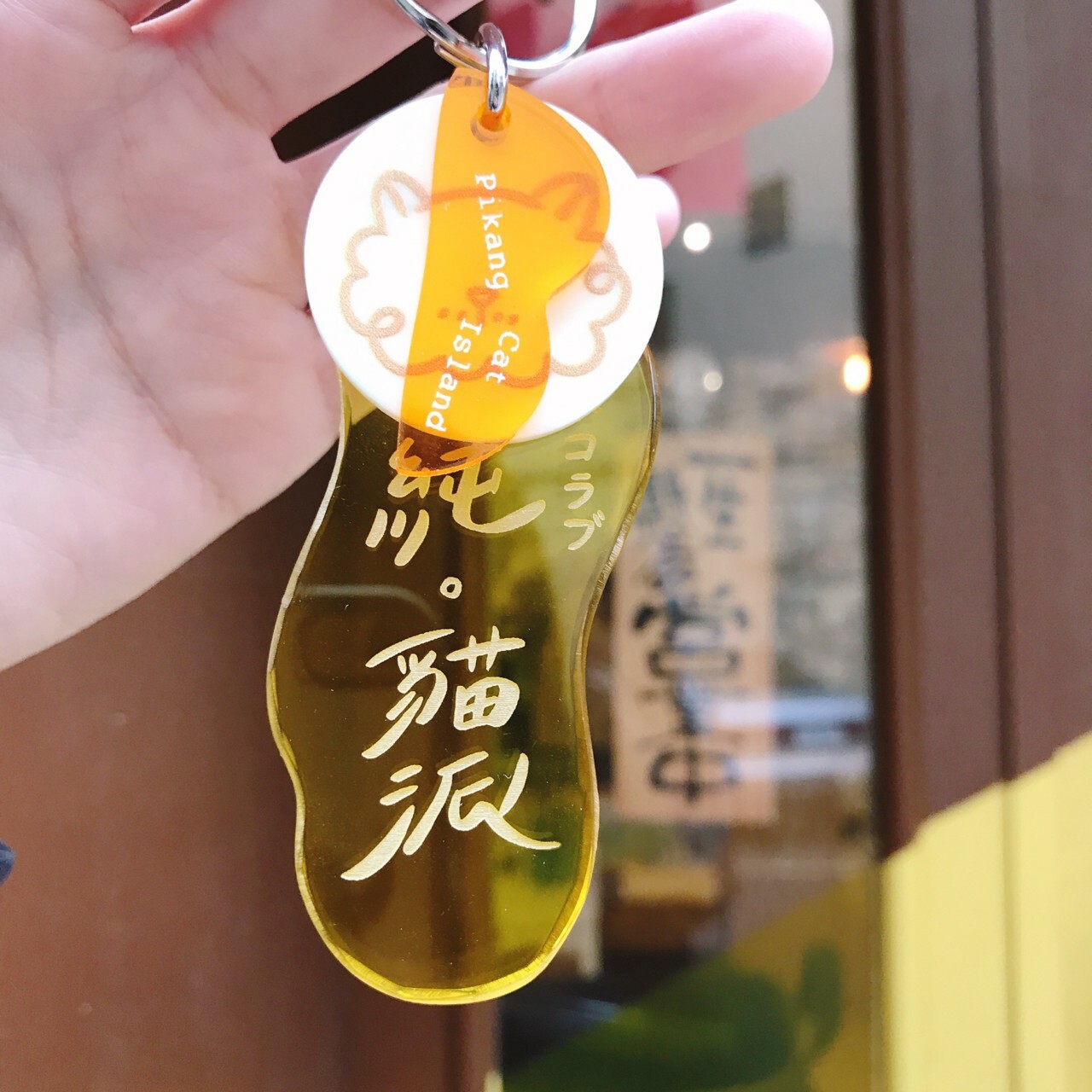 皮康｜串串鑰匙圈（吸貓成癮者/純貓派/貓毛收藏家/養貓專門戶/鏟屎負責人)