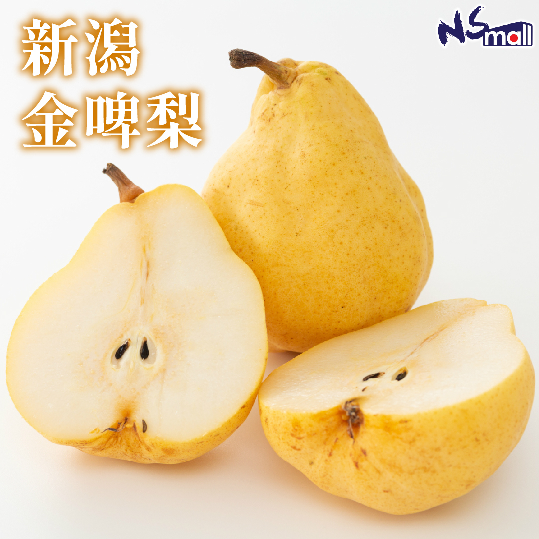 新潟 金啤梨 (新潟 ル・レクチェ) 約2kg (5-8玉)