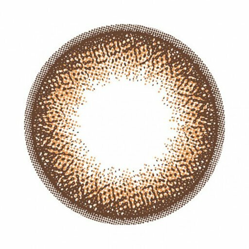 FLANMY Doughnut Brown 彩色日拋楓糖蜜戚風系列隱形眼鏡｜每盒10片