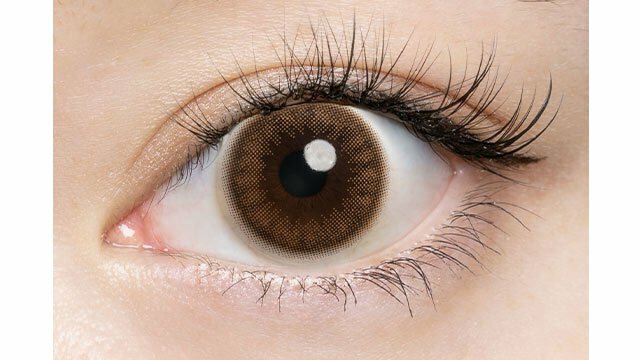 [預訂] FLANMY Shell Brown 彩色日拋楓糖蜜戚風系列隱形眼鏡｜每盒30片