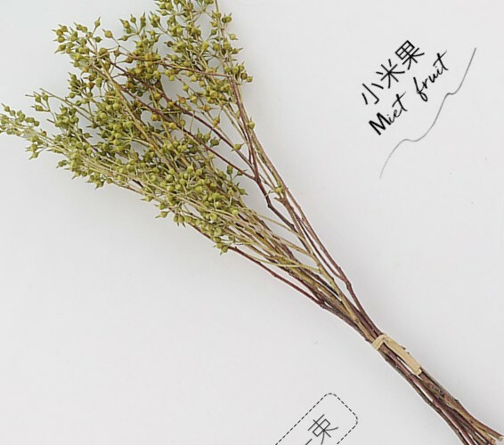 《1403》ins花束裝飾擺飾拍照道具