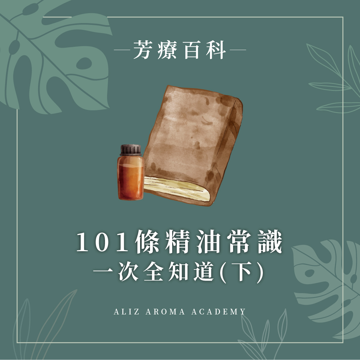 101條精油常識一次全知道（下）