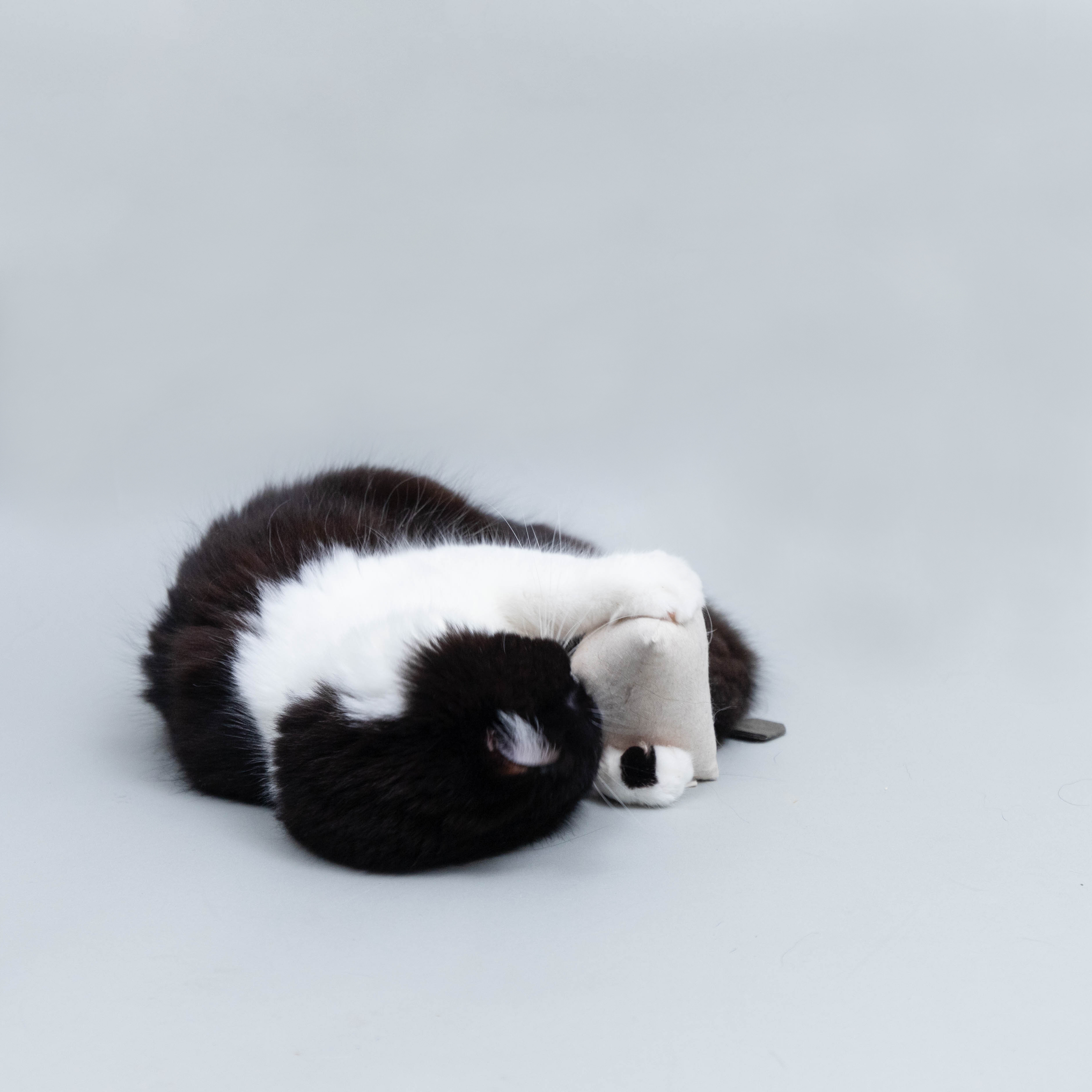 貓草玩具 | 茶包玩具 - The Royal Grocery