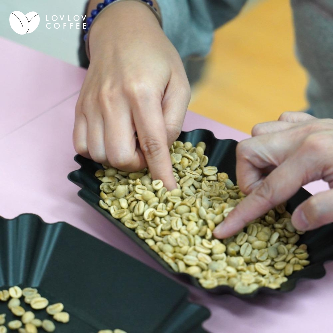 PCC01) 咖啡烘焙入門課程