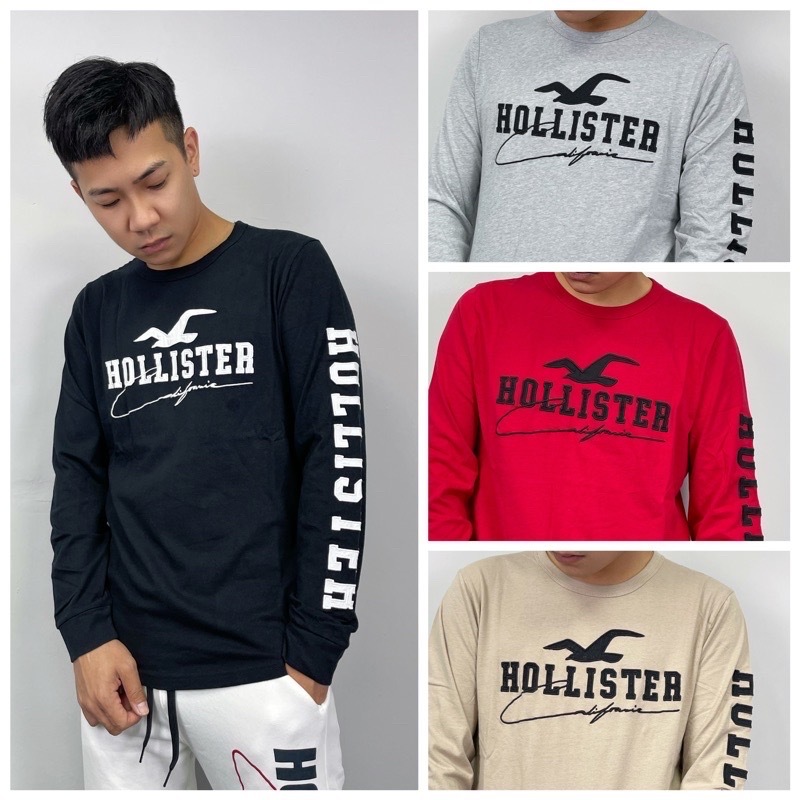 Hollister 海鷗 經典大Logo 手臂字母 薄長T