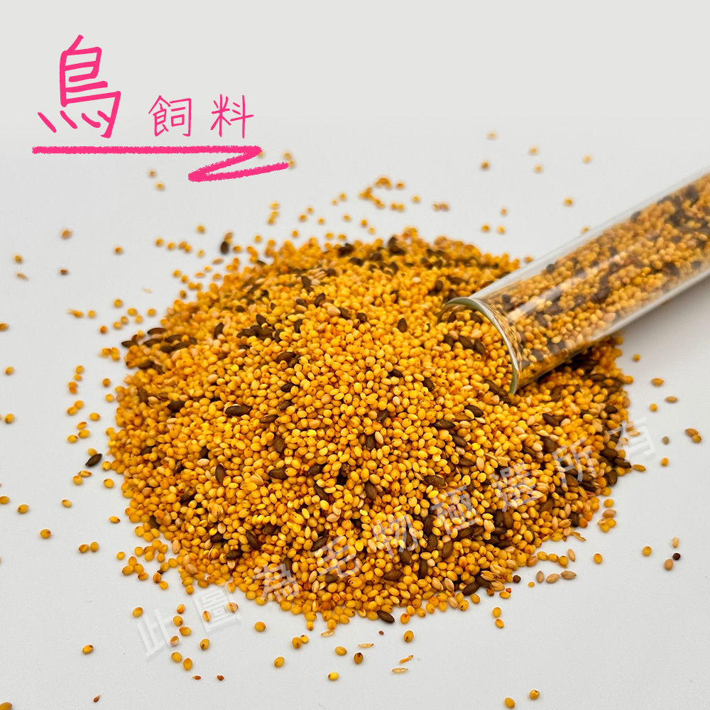 美光 愛鳥營養補給飼料T066 高級蔬菜蛋黃粟_1入