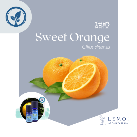 OSHADHI, Orange Sweet, Organic, Essential Oil, 有機甜橙精油, oshadhi hk, 緊張, 情緒, 焦躁, 提起精神, 香薰新手入門, 老少咸宜