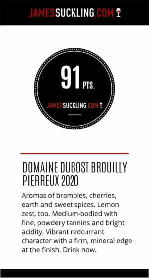 2020 Domaine Jean Paul Dubost Brouilly Pierreux