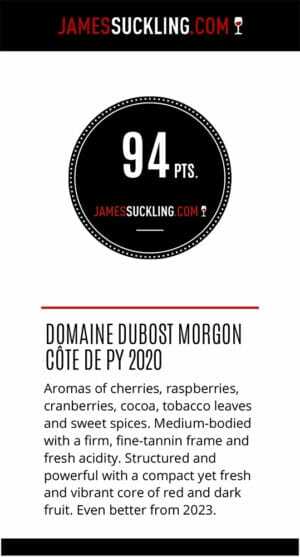 2020 Domaine Jean Paul Dubost Morgon Cote de Py