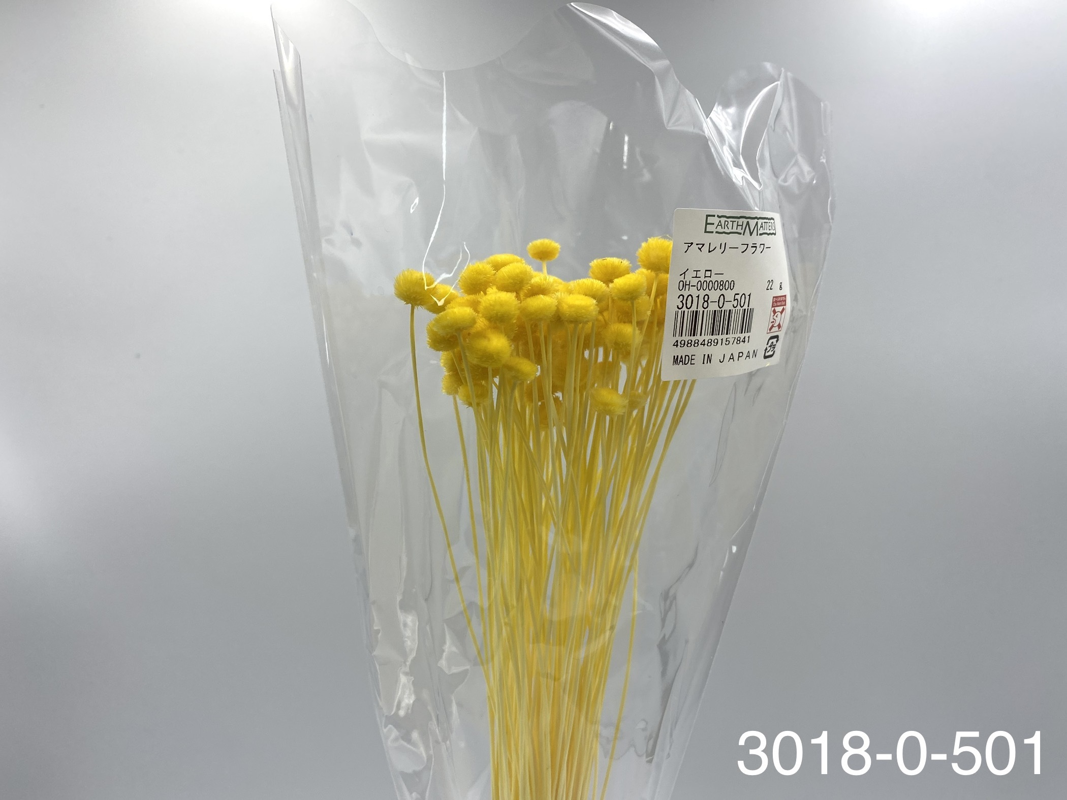 日本乾燥鈕扣菊(小) 30180-501