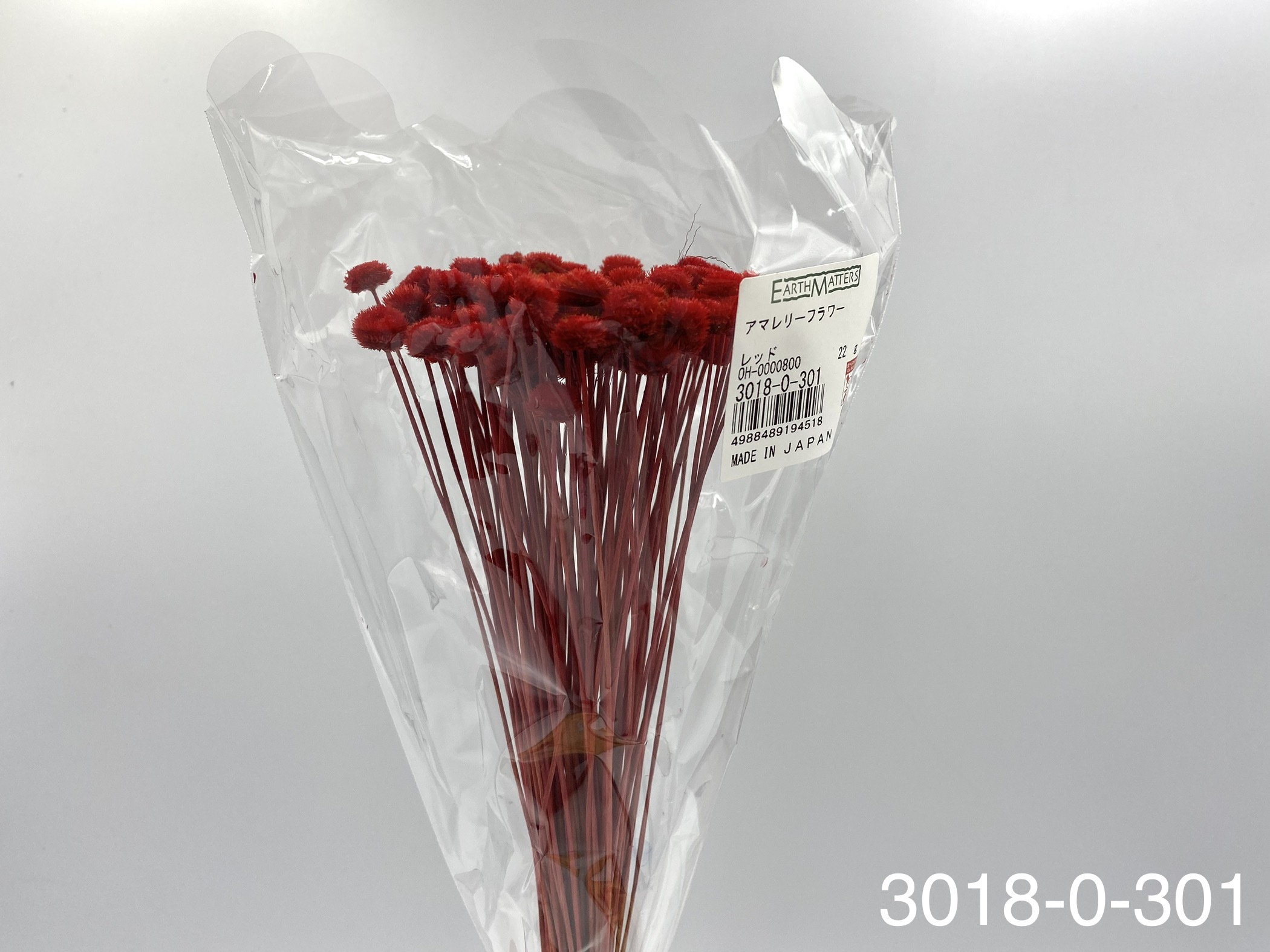 日本乾燥鈕扣菊(小) 30180-301