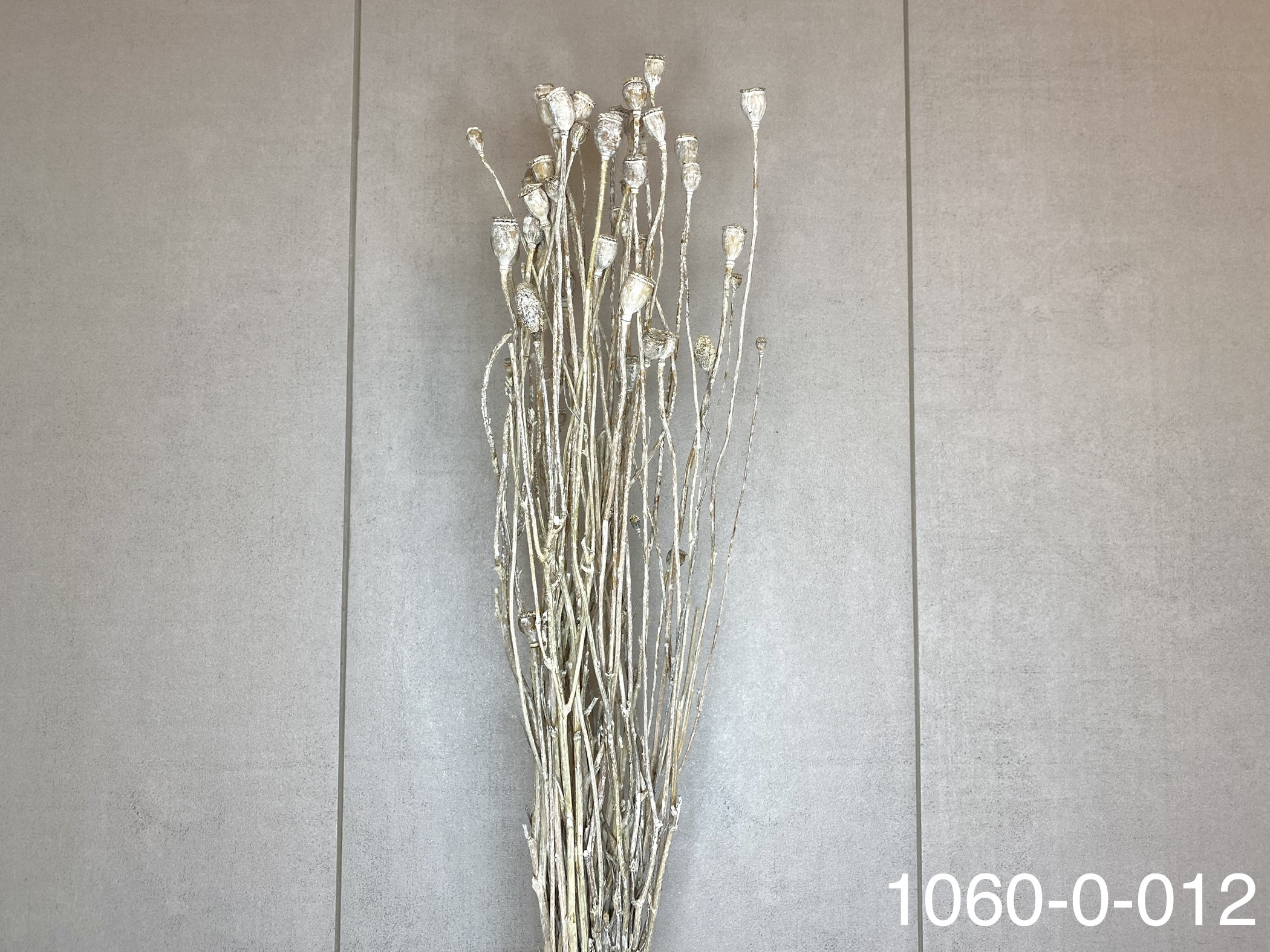 乾燥虞美人(罌粟花) 10600-012