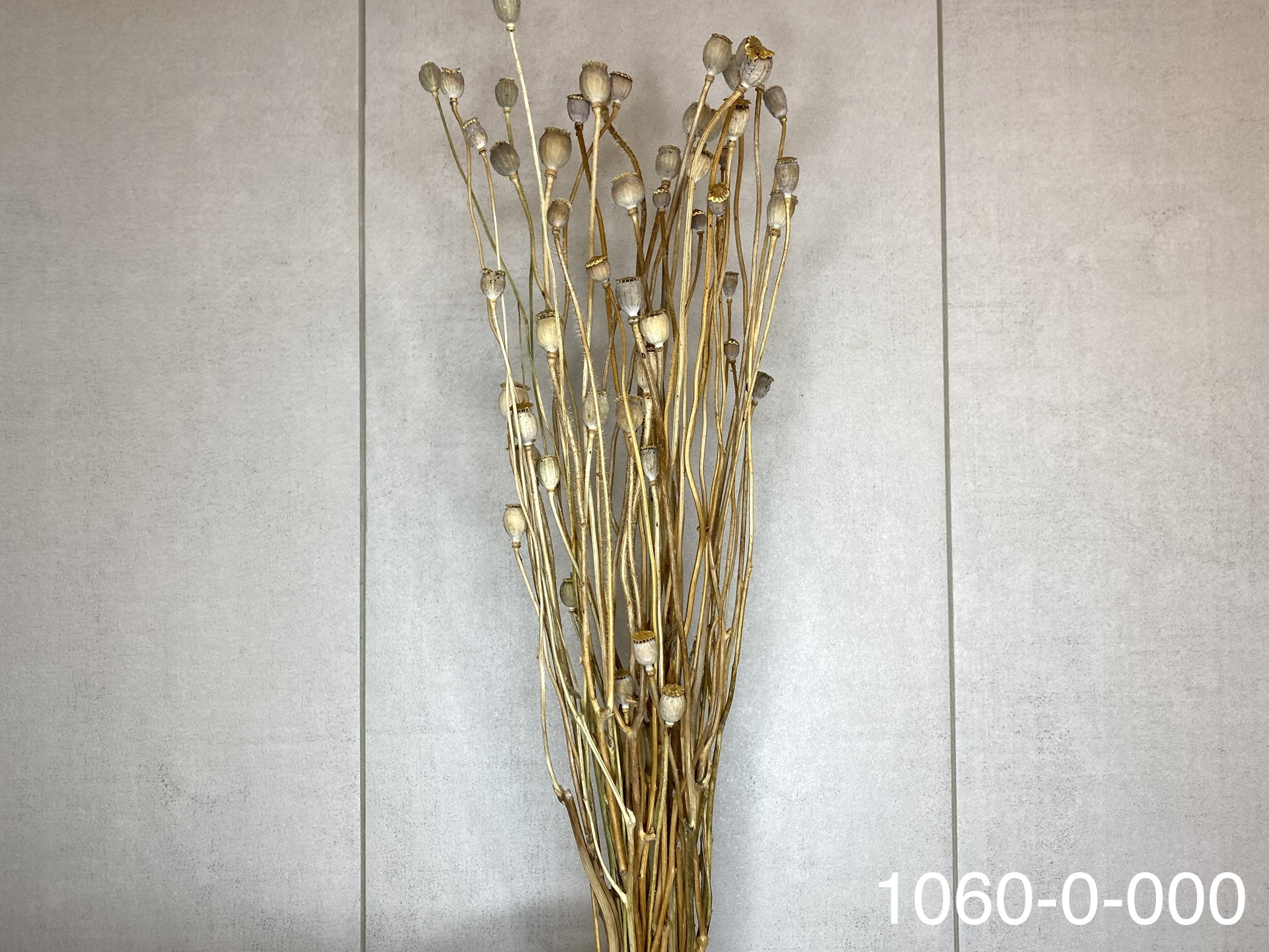 日本乾燥虞美人(罌粟花) 10600-000