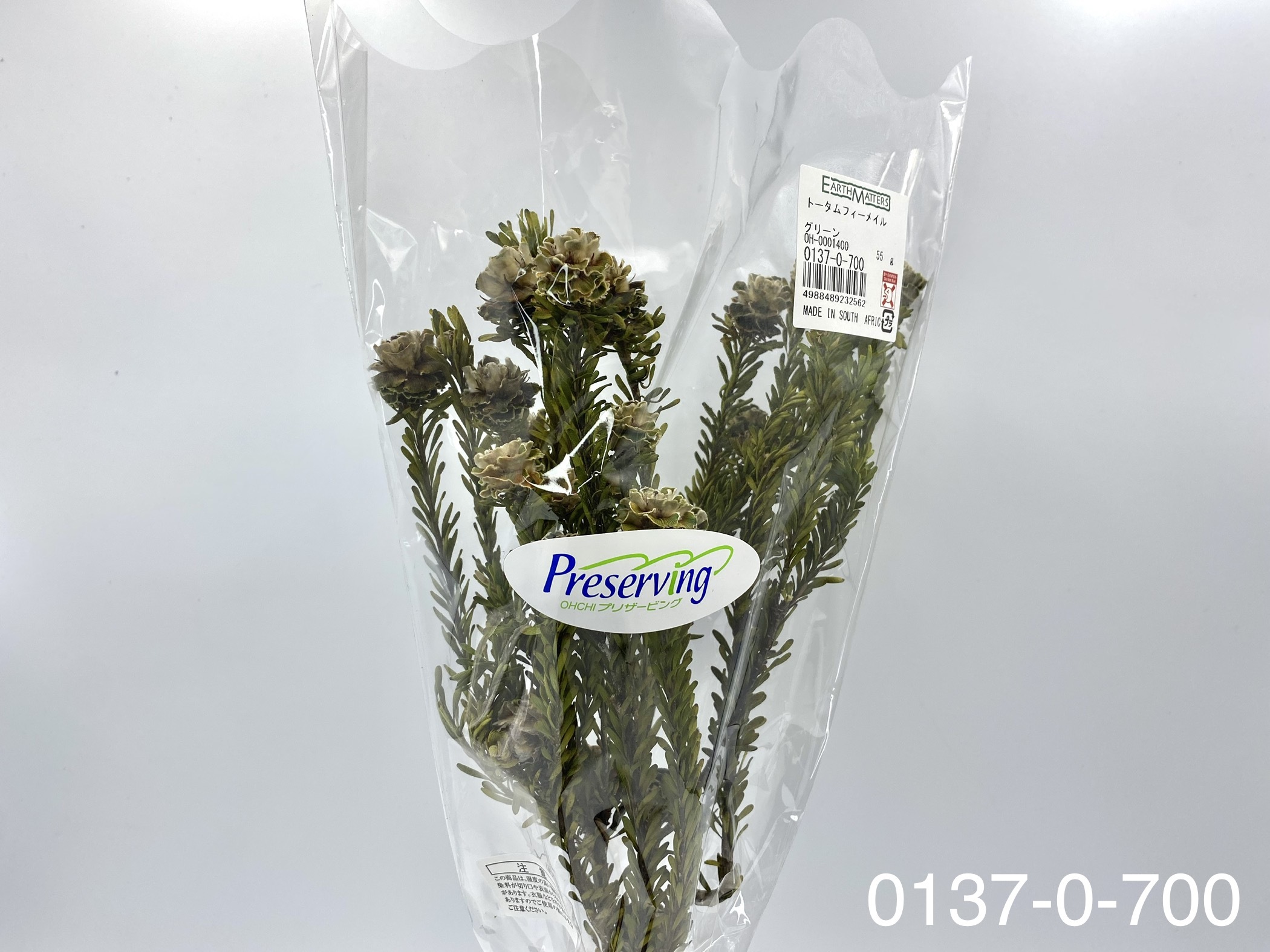 日本不凋拓圖陽光 01370-700