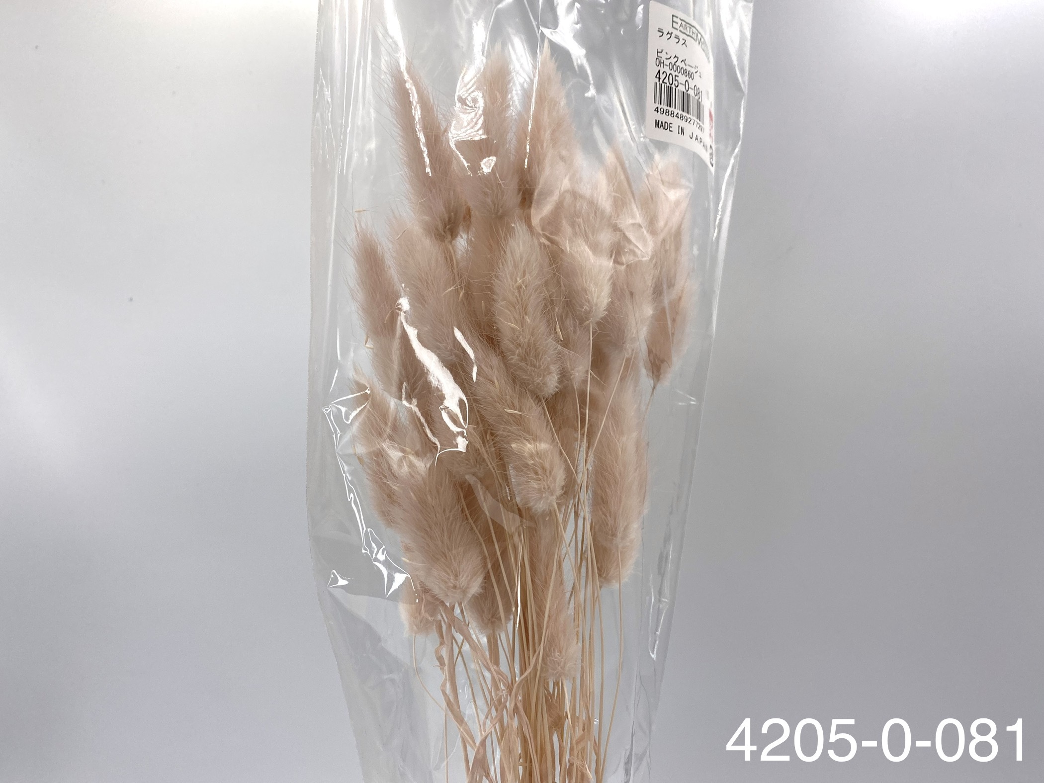 日本兔尾草 42050-081