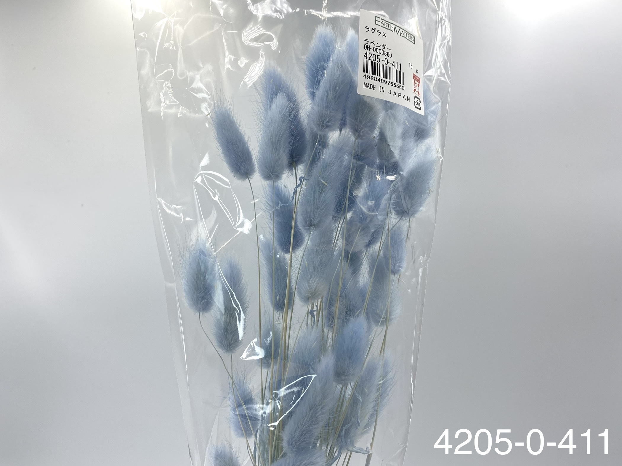 日本兔尾草 42050-411