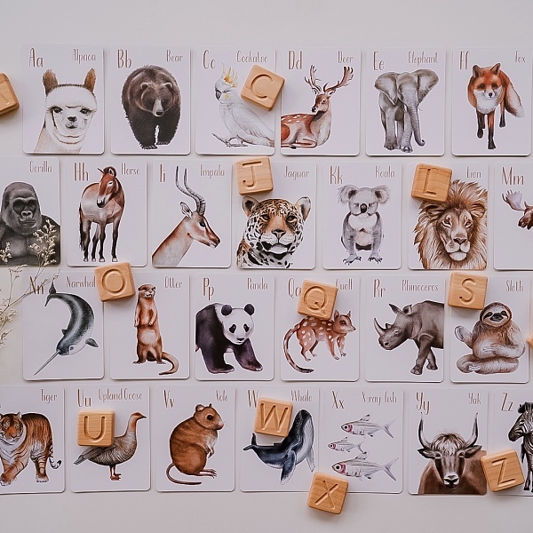 𝐌𝐨𝐝𝐞𝐫𝐧 𝐌𝐨𝐧𝐭𝐲 Animal Alphabet Flash Cards 動物英文字母卡 (1m+)