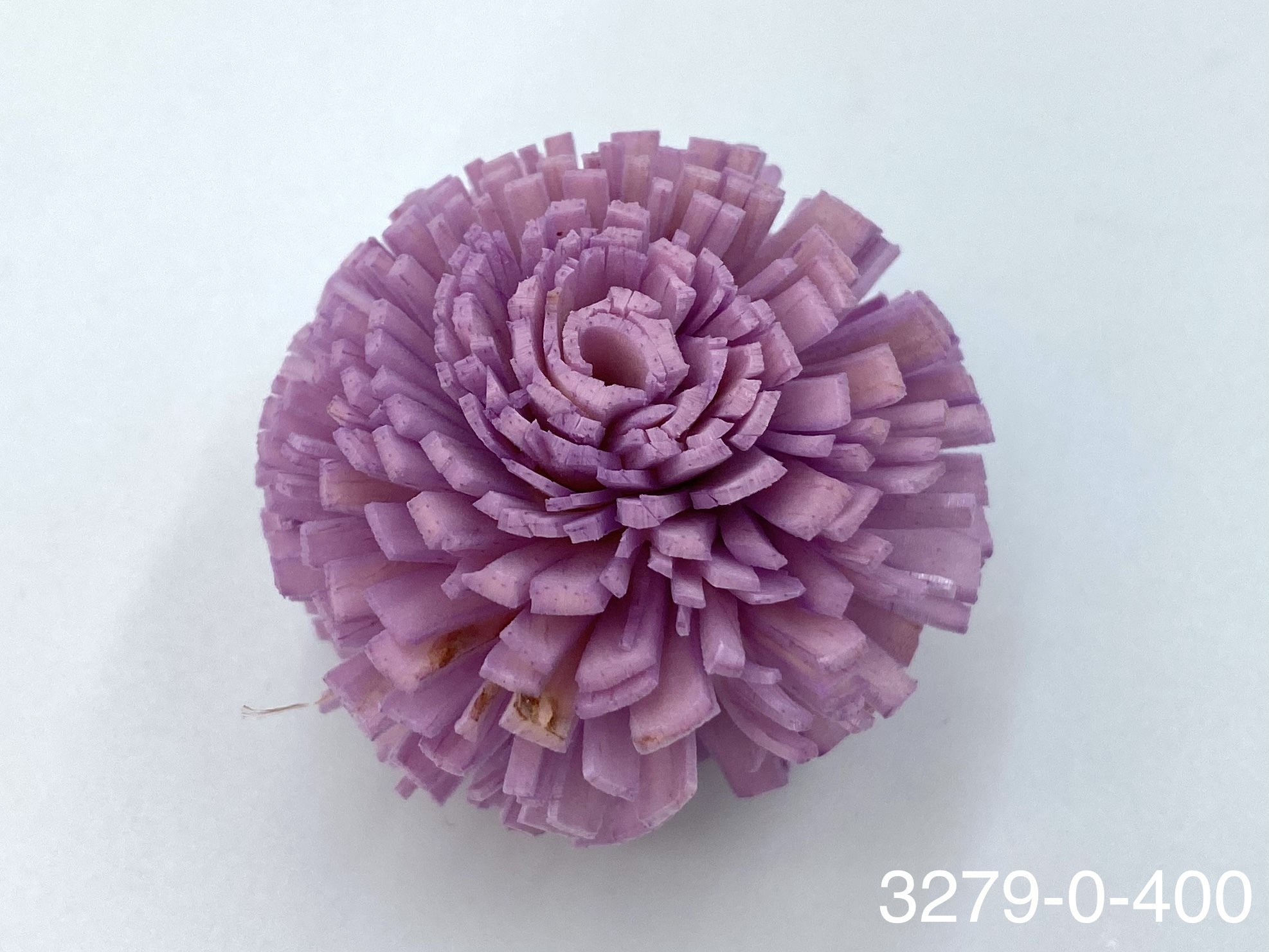 日本索拉乒乓菊 32790-400